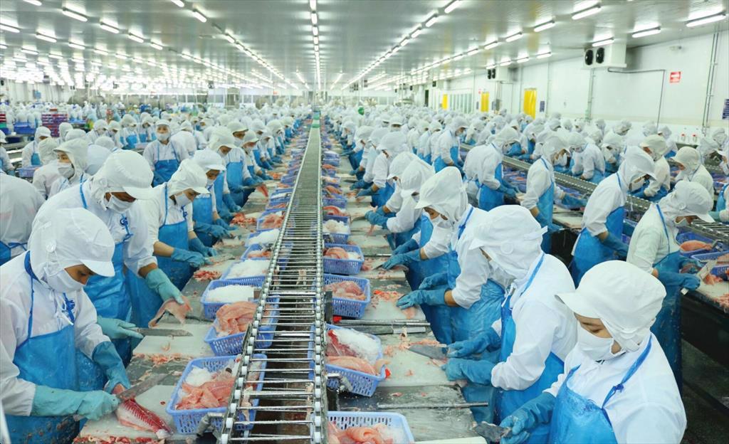 Vĩnh Hoàn VHC tiếp tục nhận chuyển nhượng thêm 341559 m2 đất nuôi trồng thủy sản