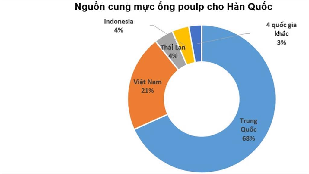Nhập khẩu mực ống poulp đông lạnh của Hàn Quốc tăng 7