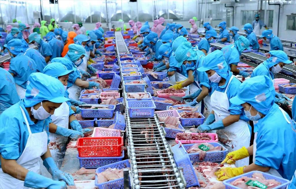 Tăng trưởng xuất khẩu cá tra sang Đức
