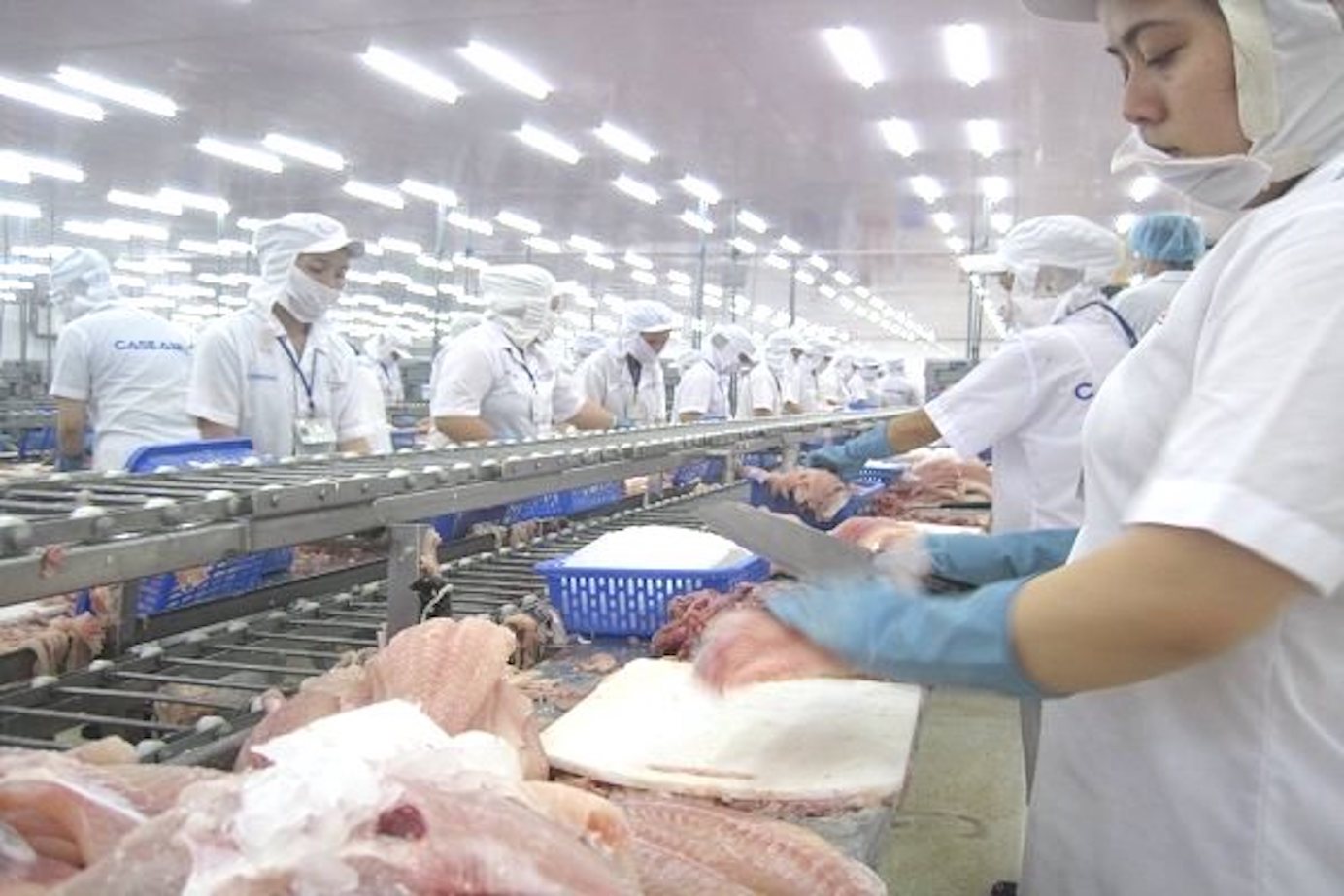 Nhu cầu nhập khẩu cá tra phile đông lạnh của EU ổn định