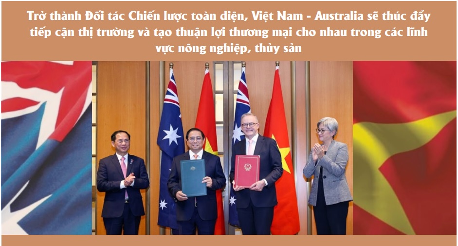 Xuất khẩu tôm sang Australia còn nhiều dư địa nếu DN tận dụng được lợi thế