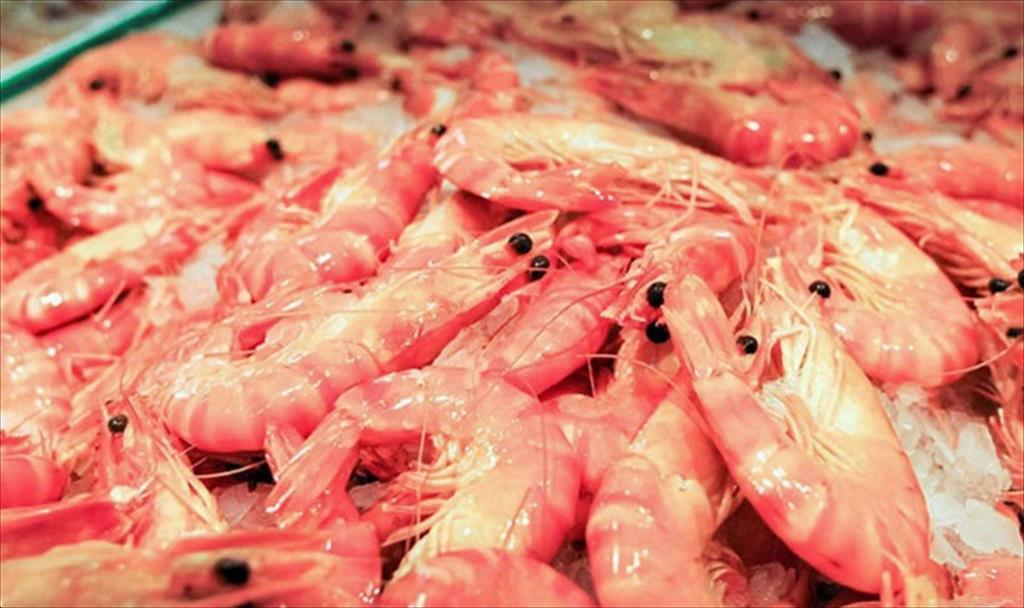 Sysco ngừng mua tôm Ấn Độ sau khi có báo cáo cáo buộc các vấn đề về môi trường lao động
