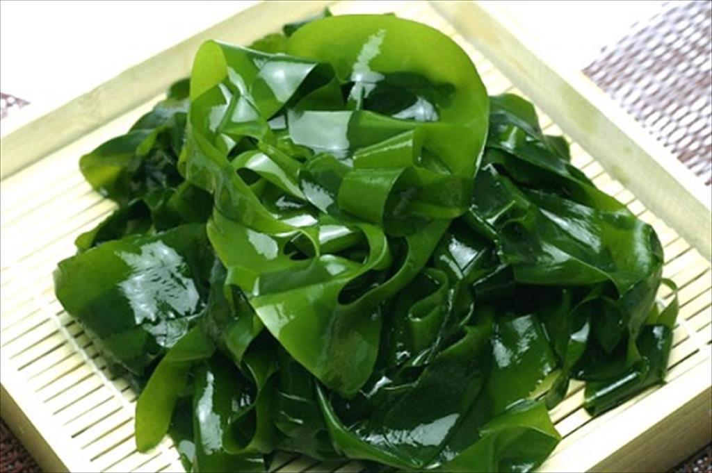 Châu Âu muốn thúc đẩy sản xuất rong biển
