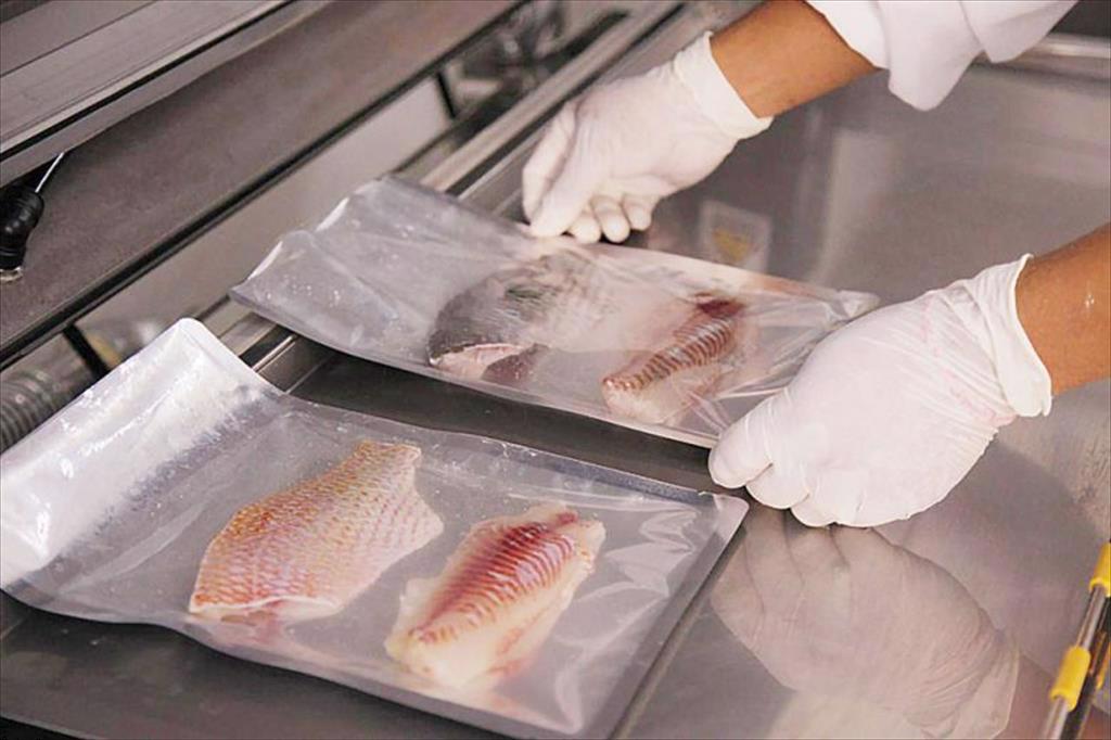 Nguồn cung cá rô phi giảm giá tăng Cơ hội cho cá tra Việt