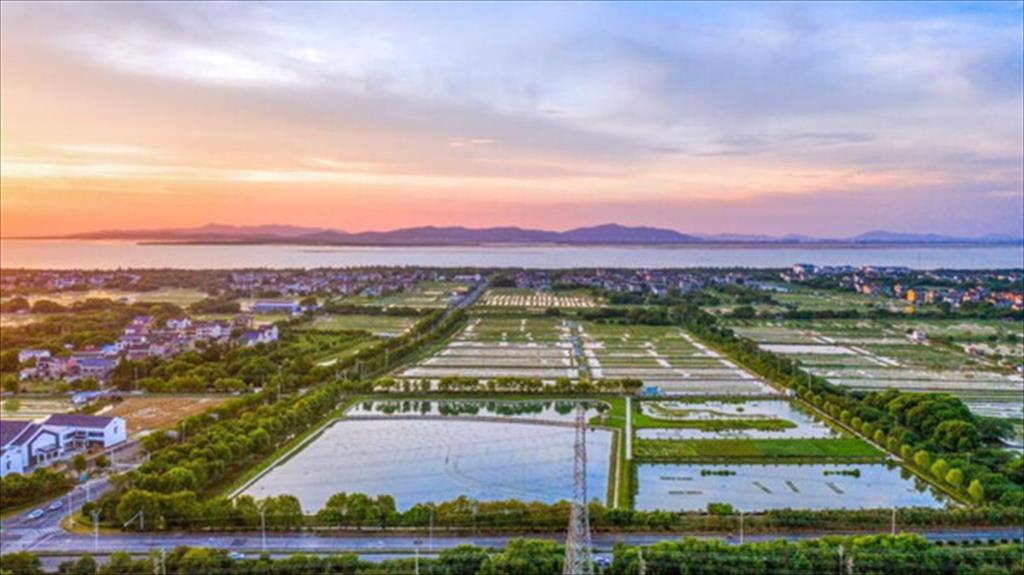 Trang trại cua thân thiện với môi trường ở Trung Quốc là điển hình nuôi thủy sản hiệu quả chất lượng cao