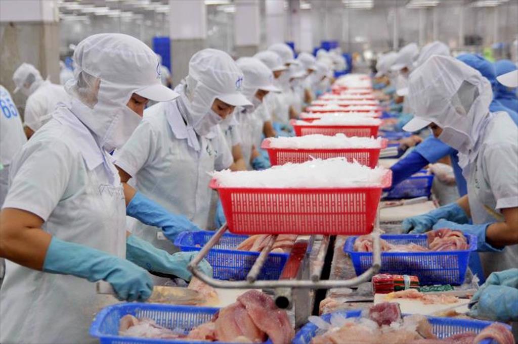 Tháng 42024 Mỹ nhập nhiều cá tra GTGT từ Việt Nam