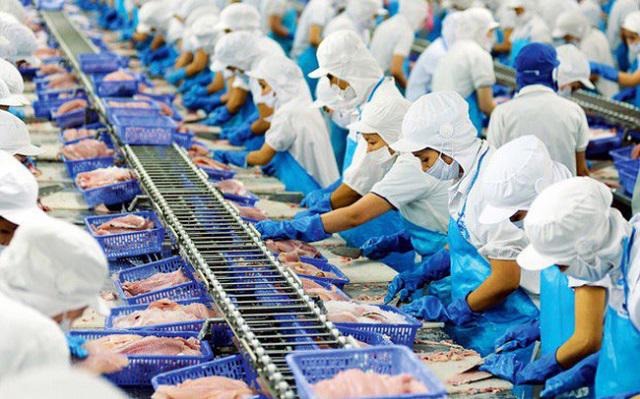 Cơ hội cho xuất khẩu cá tra khi có FTA Việt Nam Mercosur