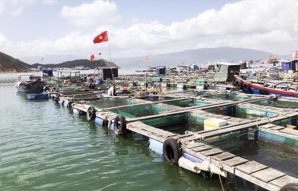 Đề xuất các chỉ số bền vững mới cho thành phần thức ăn nuôi trồng thủy sản