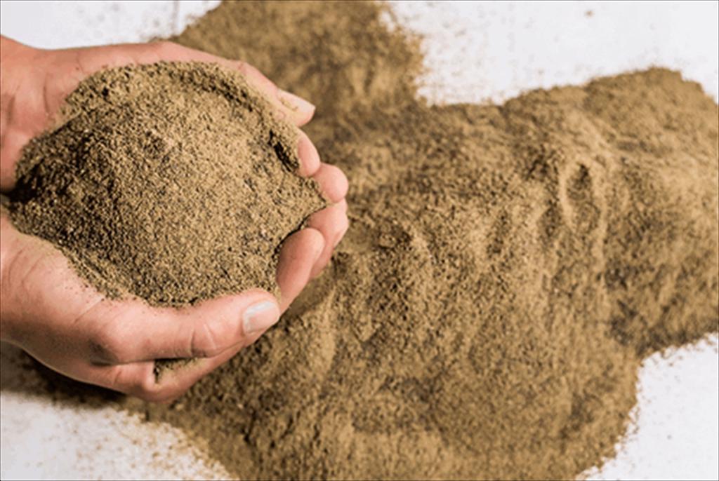 Nguồn cung dồi dào giá bột cá hạ nhiệt