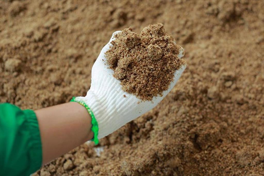 Peru tăng trưởng xuất khẩu bột cá dầu cá