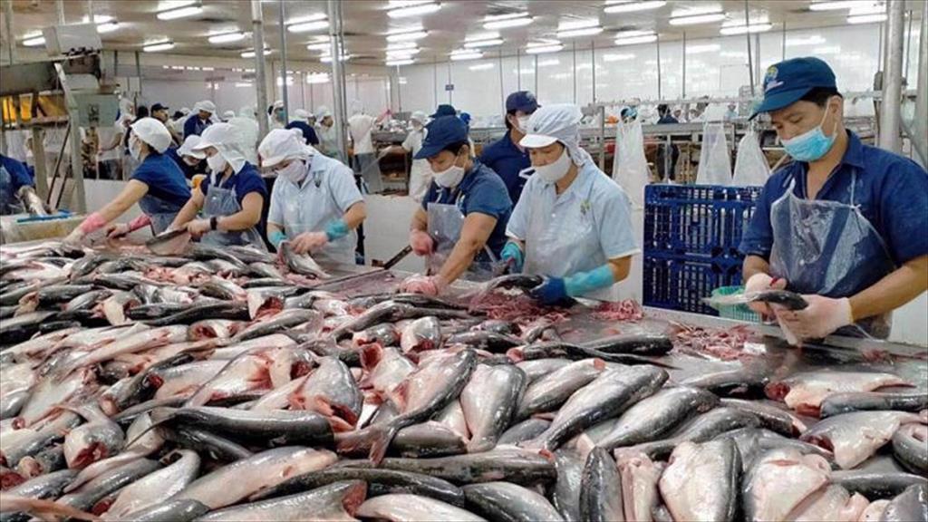 Chile Xuất khẩu thủy sản sang châu Á tăng mạnh