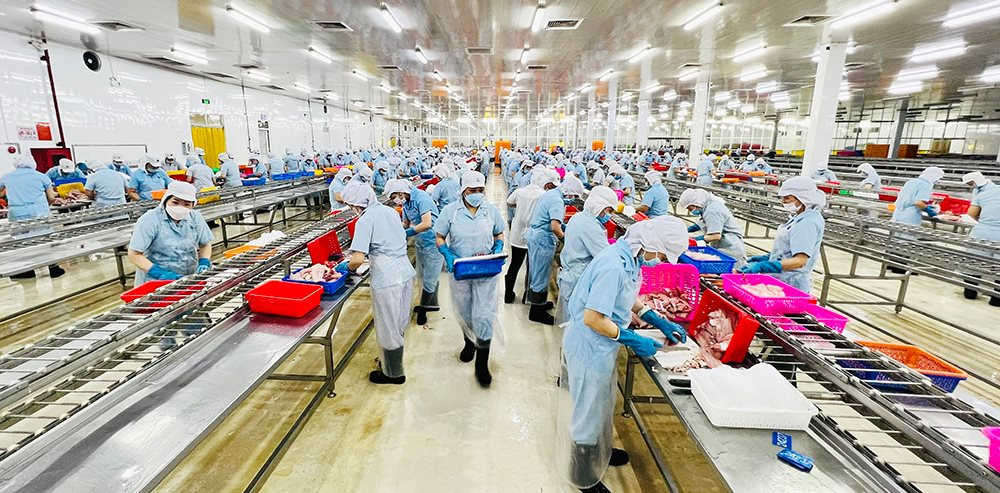 Xuất khẩu cá tra GTGT Việt Nam sang Mỹ trong tháng 6 đạt đỉnh kể từ đầu năm
