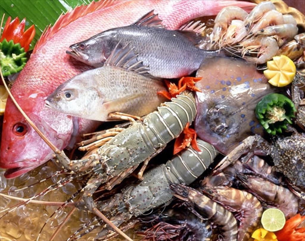 Đà Nẵng Sản lượng khai thác thủy sản 7 tháng đầu năm tăng nhẹ