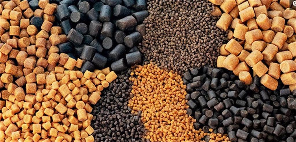 Tập đoàn thức ăn thủy sản lớn nhất Trung Quốc ghi nhận doanh thu tăng 30