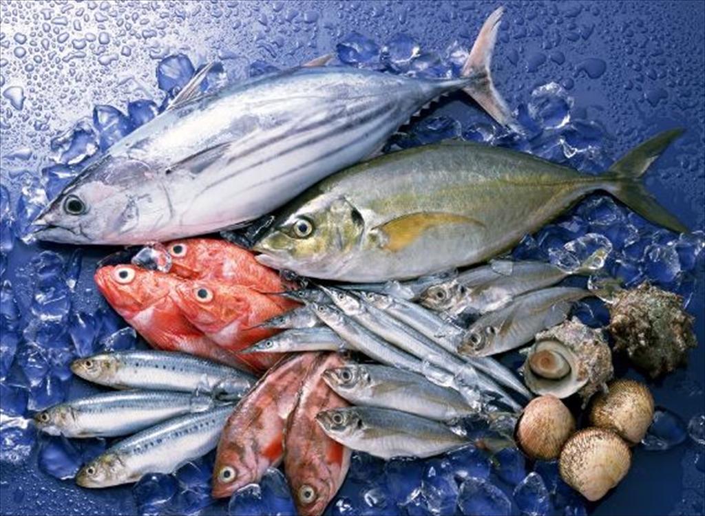 Na Uy Xuất khẩu thủy sản quay đầu tăng nhờ đồng krone suy yếu