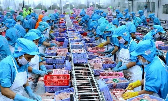 Xuất khẩu cá tra sang Iraq đạt cao nhất trong 3 năm qua