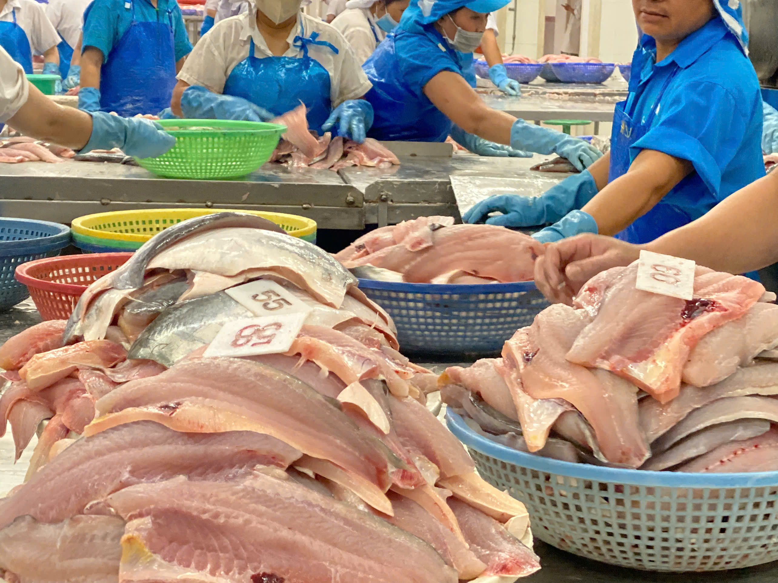 Động lực nào cho xuất khẩu cá tra Việt Nam năm 2025