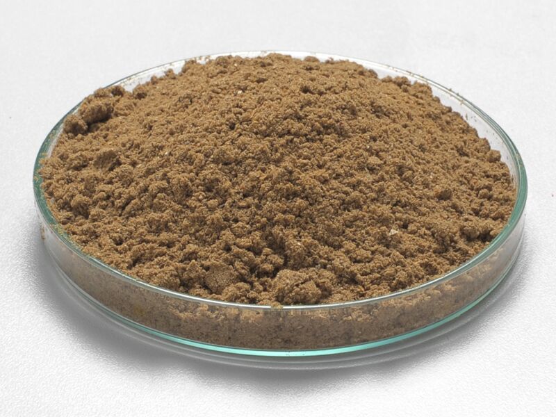 Thiếu bột cá toàn cầu biến động giá mạnh có thể xảy ra sớm hơn dự kiến