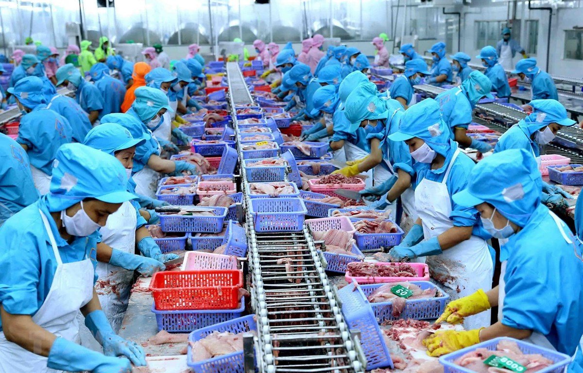 Tăng giá trị gia tăng cho cá tra Từ phile truyền thống đến sản phẩm tiện lợi