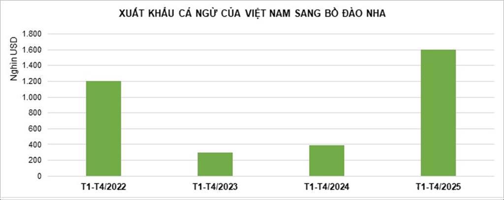 Xuất khẩu cá ngừ sang Bồ Đào Nha Tăng ấn tượng nhưng khó duy trì