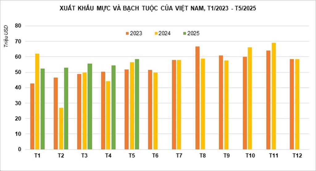 Xuất khẩu mực bạch tuộc năm 2025 kỳ vọng vượt 700 triệu USD